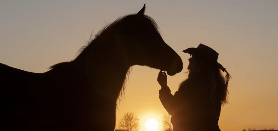 Sigrid-Schneider-Horsemanship-Soulful-Horse-Unterricht-Bayern-Puchheim-3