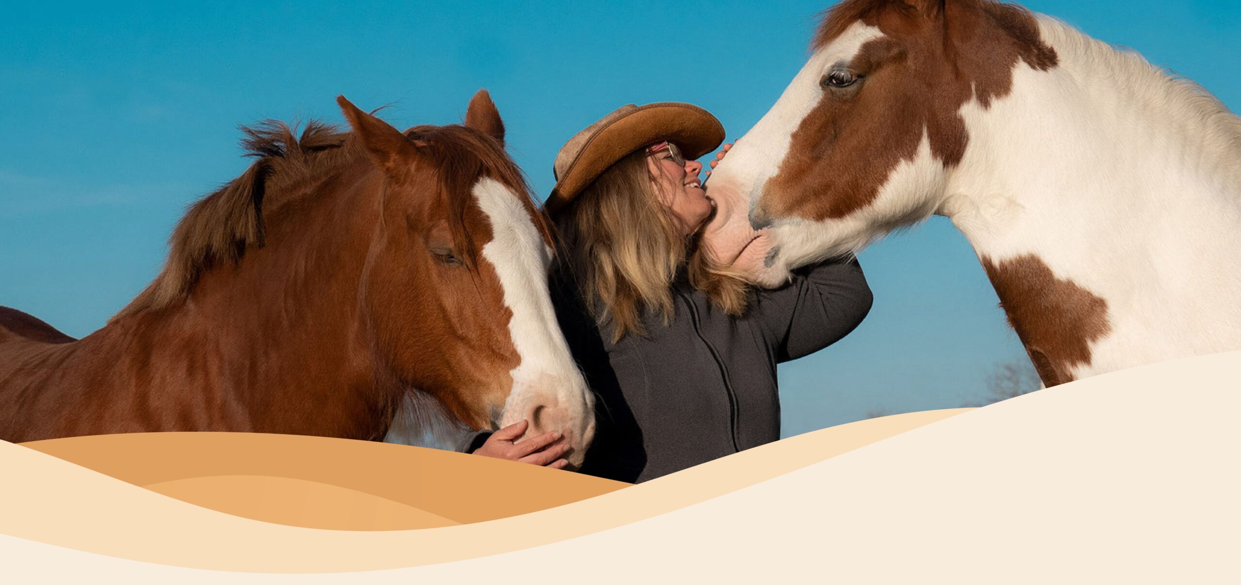 Header-Schneider-Horsemanship-Pferde-min
