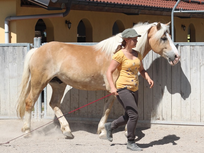 Kurswoche 2012 307b2 (Kopieverkleinert)