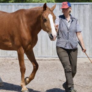 21.-22.3.2026 Grundlagenkurs Basis der Freiheit - Körpersprache bewusst ein setzen & Liberty starten